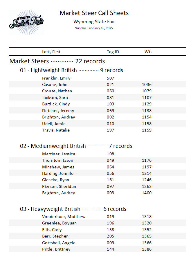 Report - Call Sheet